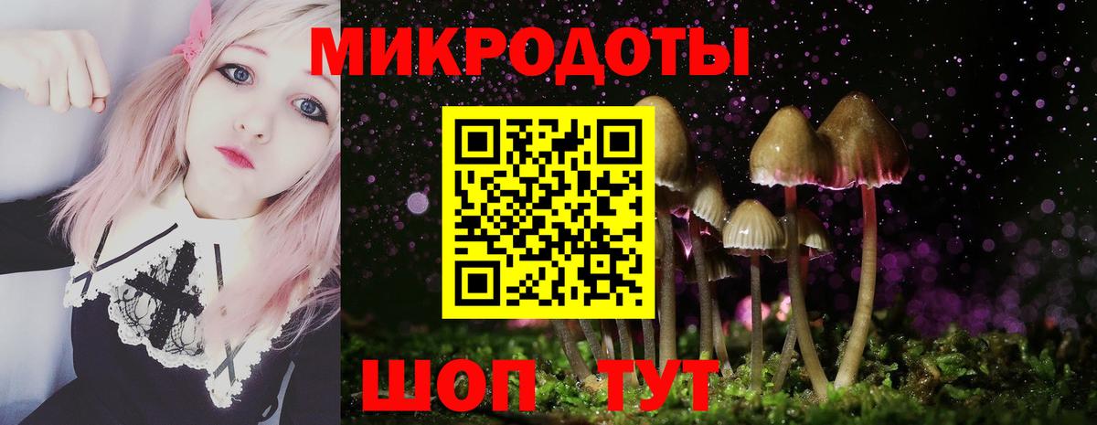 Псилоцибиновые грибы Psilocybe  Вход с VPN  Заводоуковск 