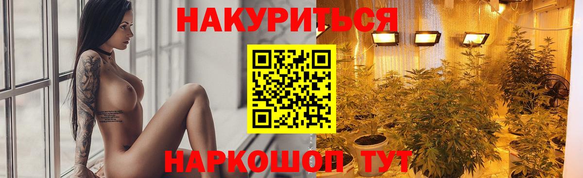 Заводоуковск  Марихуана гибрид  Марихуана план  Каннабис ГИДРОПОН  Вход с VPN 